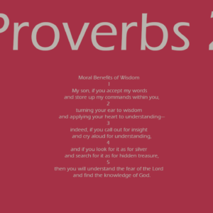 Proverbs 2 of the NIV Bible - Moral Benefits of Wisdom