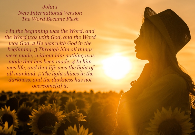 sun shining on beautiful woman standing in sunflower field - 2024
